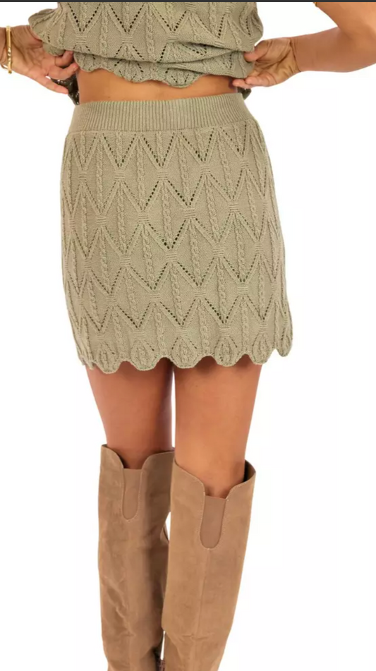 Succulent Sweater Skirt