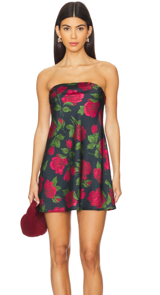 Taylor Tube Mini Dress