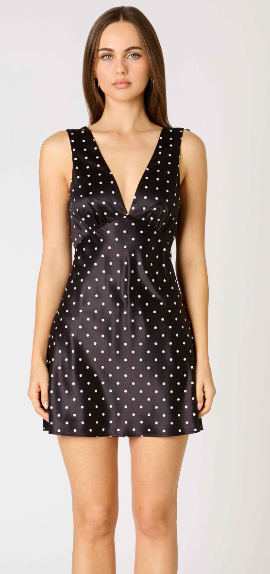 Cassie Polka Dot Dress