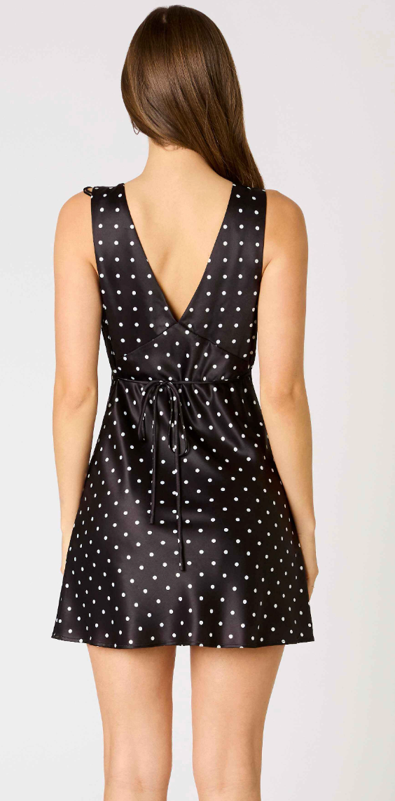 Cassie Polka Dot Dress