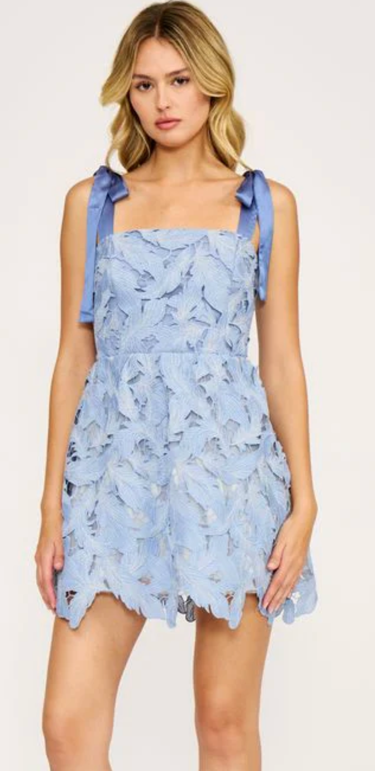 Micah Lace Mini Dress