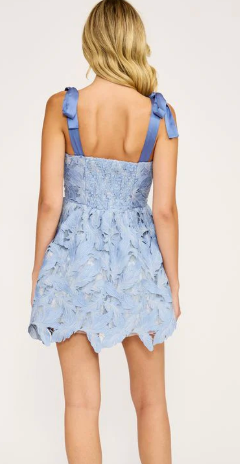 Micah Lace Mini Dress