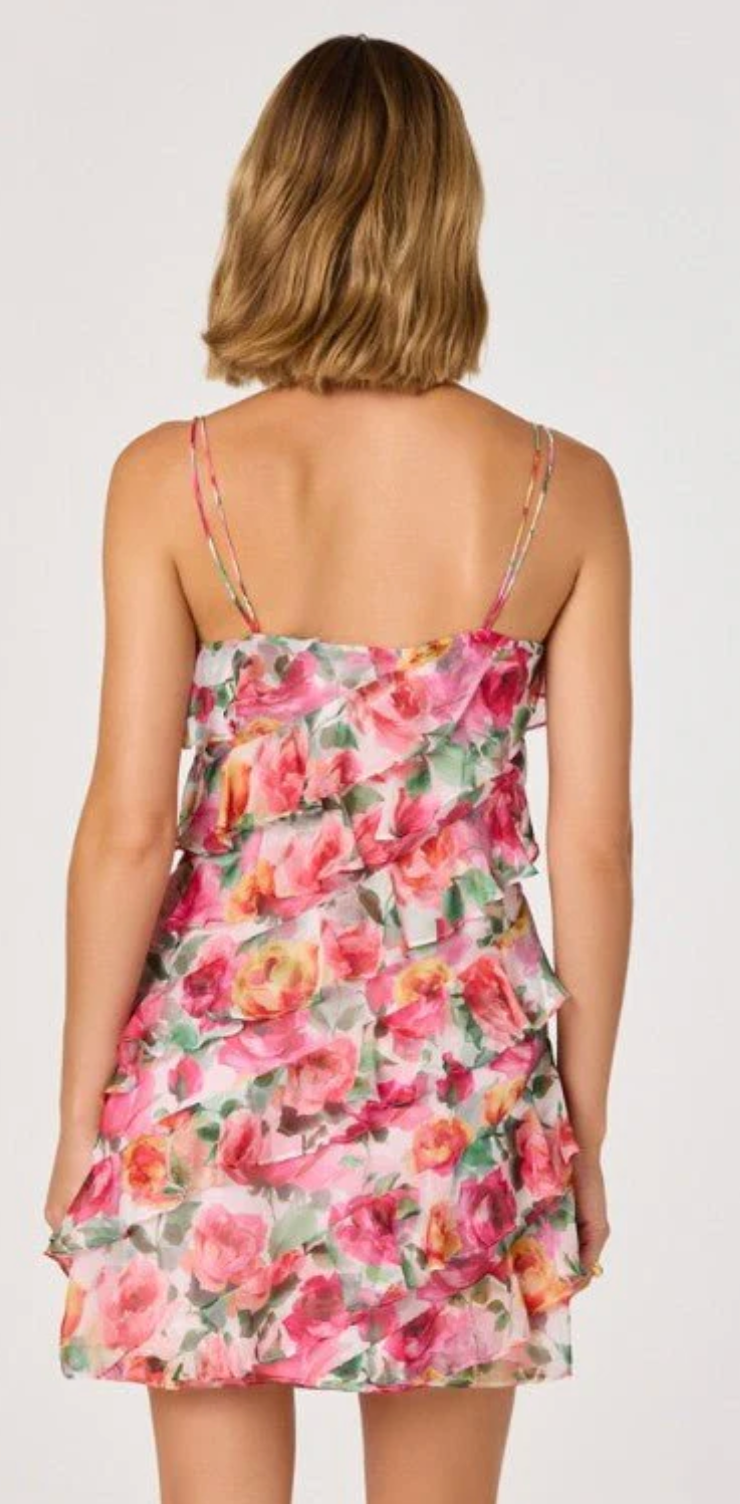 Blanca Dress