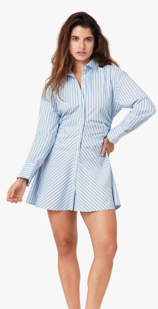 Benson Shirt Dress