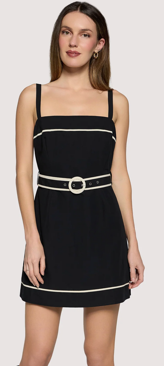 Cara Dream Mini Dress