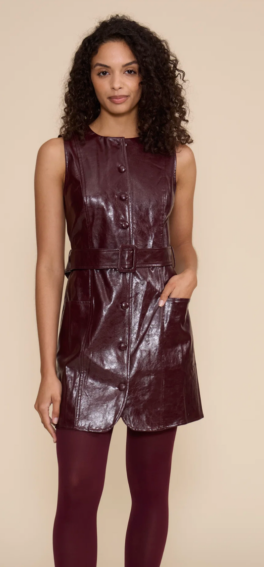 Julian Mini Dress