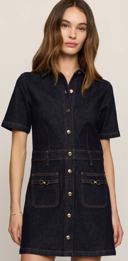 The Crush Denim Dress